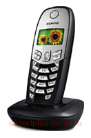 Siemens Gigaset C45