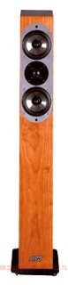 ASW Genius 300