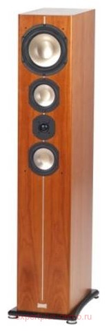 ASW Cantius 604