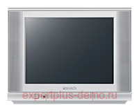 Panasonic TC-21GX20TS
