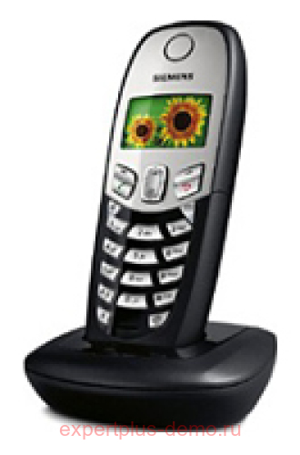 Siemens Gigaset C45