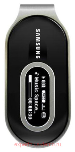 Samsung YP-F1X